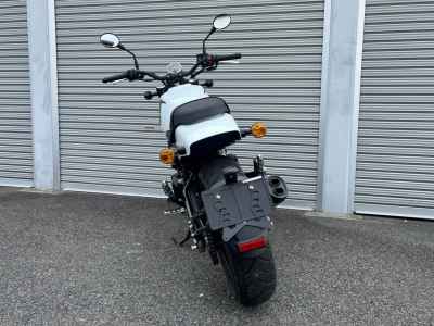 Harley-Davidson X500 2023