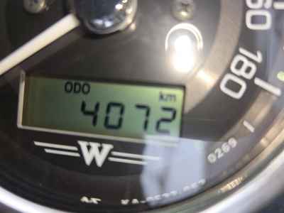 Kawasaki W800 2023