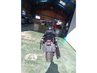 Harley-Davidson Sportster Forty-Eight XL1200X 2019