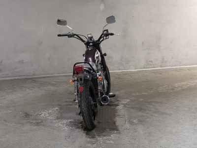 Suzuki GrassTracker Bigboy