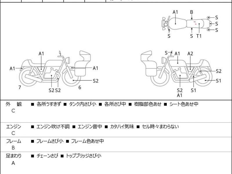 Yamaha XVS250 Drag Star