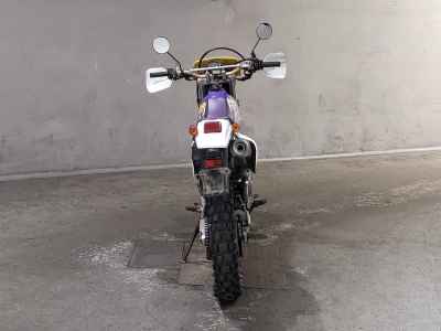 Suzuki DR250R