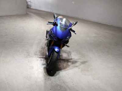 Yamaha YZF-R3 2019