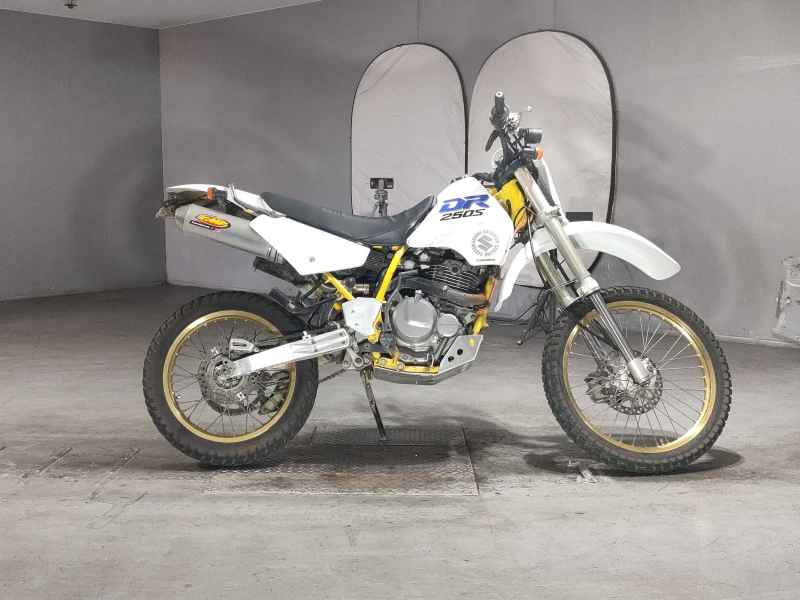 Suzuki DR250S