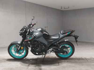 Yamaha MT-25