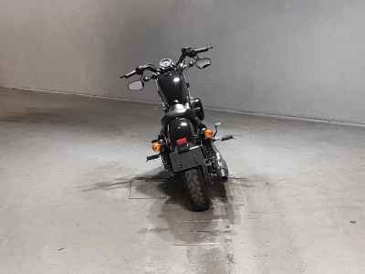 Harley-Davidson Sportster Forty-Eight XL1200X 2019