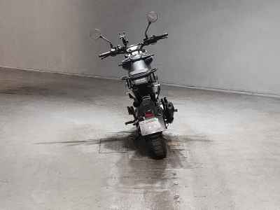 Husqvarna Svartpilen 401 2020