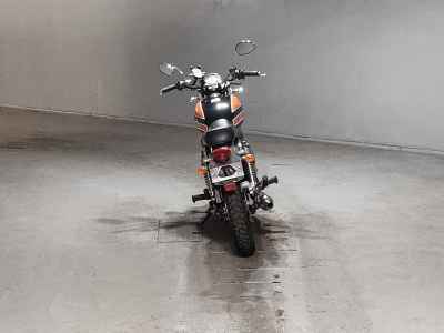 Kawasaki Estrella RS