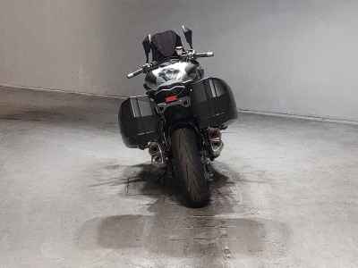 Kawasaki Ninja 1000 2017