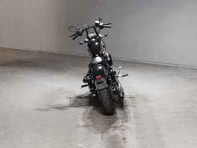 Harley-Davidson Sportster Forty-Eight XL1200XS 2019
