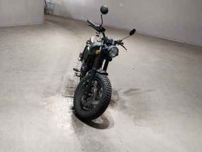 Mutt Mongrel 250 2022