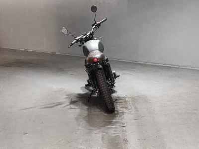Mutt Mongrel 250 2022