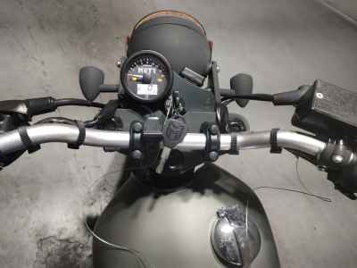 Mutt Mongrel 250 2022