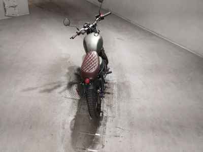 Mutt Mongrel 250 2022