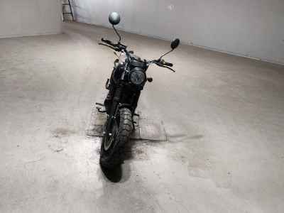 Mutt FSR250 2020