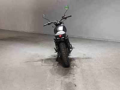 Mutt FSR250 2020