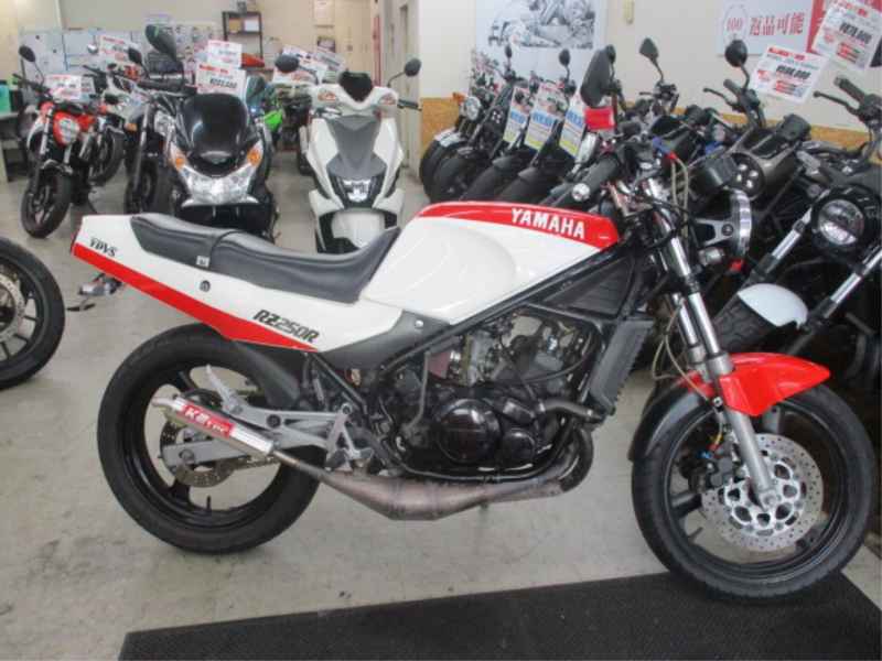 Yamaha RZ250R