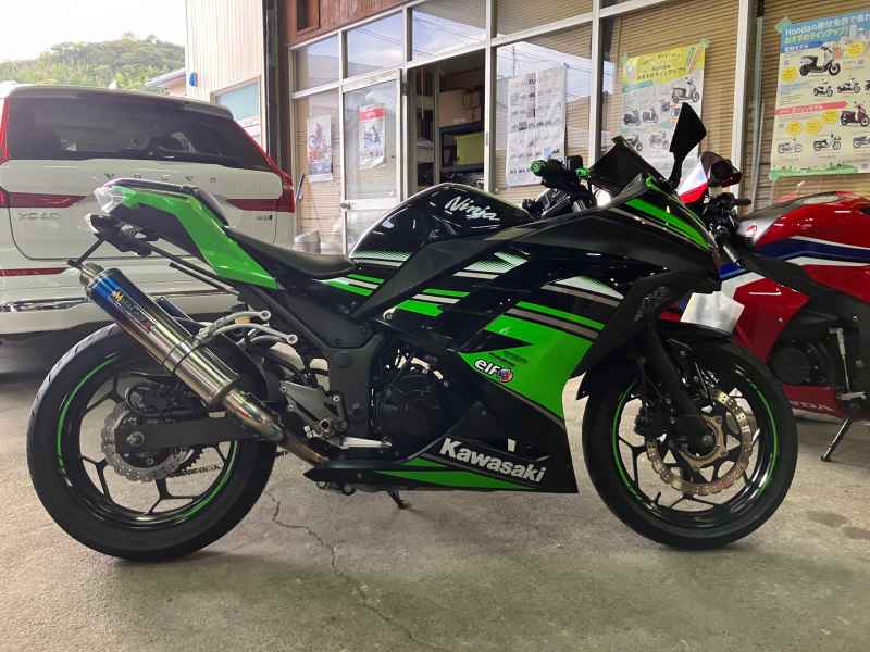 Kawasaki Ninja 250