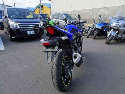 Suzuki GSX250R