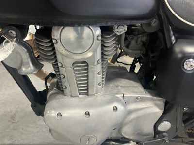 Kawasaki Estrella RS