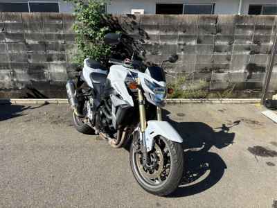 Suzuki  2013
