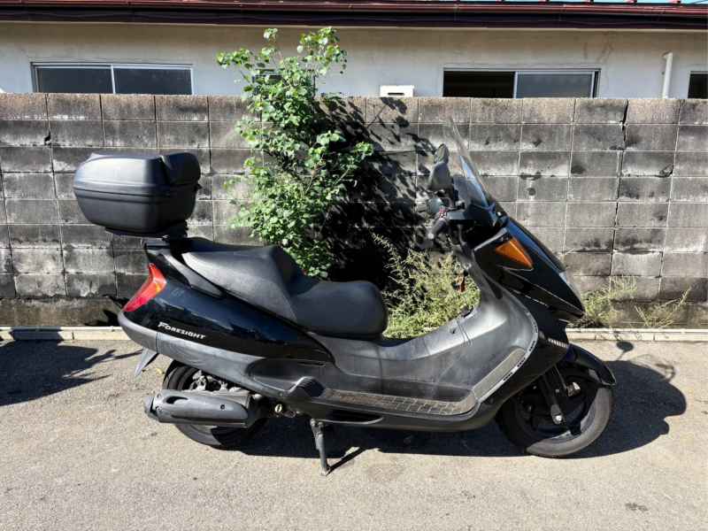 Honda Foresight