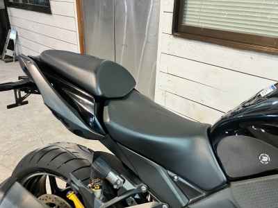 Kawasaki Ninja 1000SX 2020