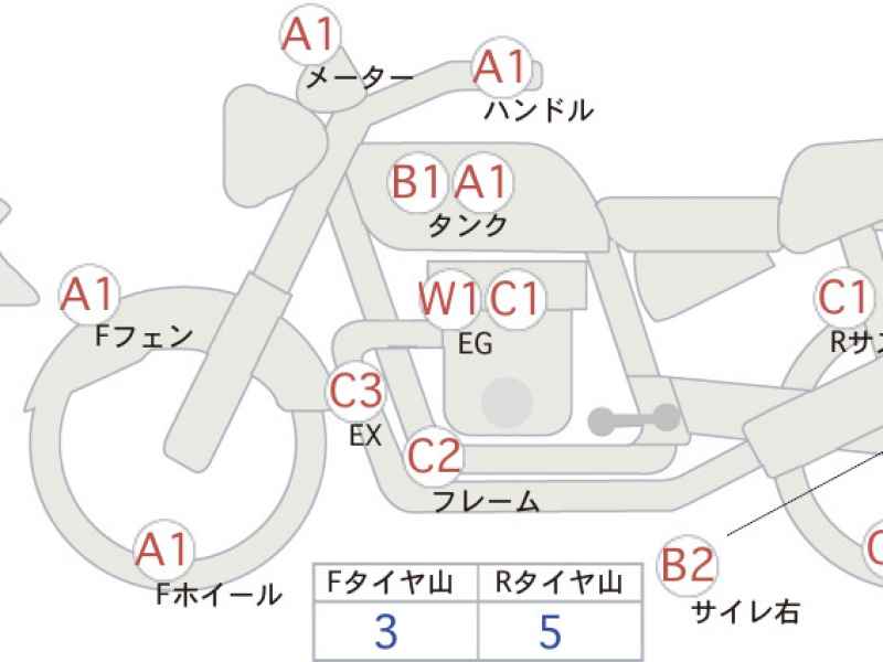 Kawasaki W800 2020
