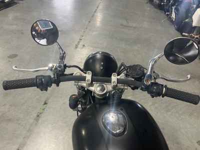Kawasaki Estrella RS