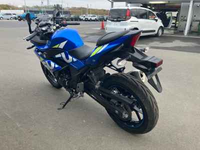 Suzuki GSX250R