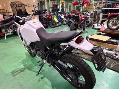 Ducati DesertX 2024
