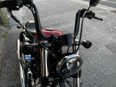 Harley-Davidson Sportster Forty-Eight XL1200XS 2018