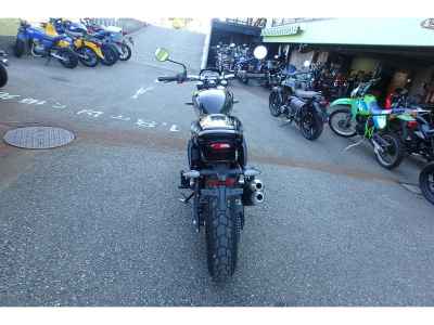 Triumph TRACKER 400 2026