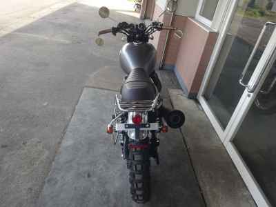Kawasaki W800 2019