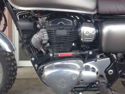 Kawasaki W800 2019