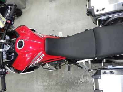 Triumph Tiger 900 GT Pro 2024
