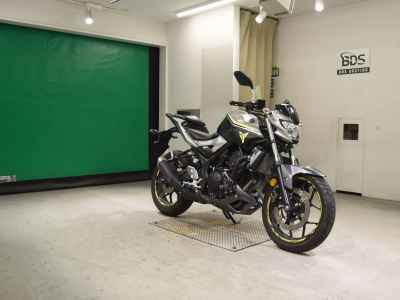 Yamaha MT-25