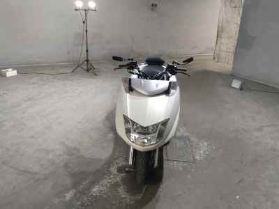 Yamaha Maxam 250
