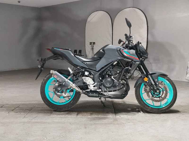 Yamaha MT-25