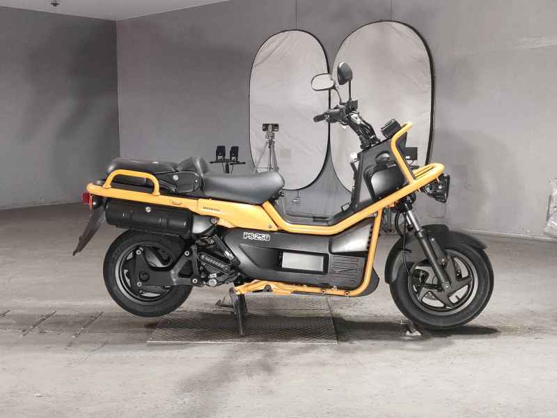 Honda PS250 Big Ruckus