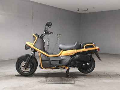 Honda PS250 Big Ruckus