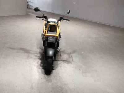 Honda PS250 Big Ruckus