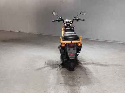 Honda PS250 Big Ruckus