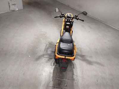 Honda PS250 Big Ruckus
