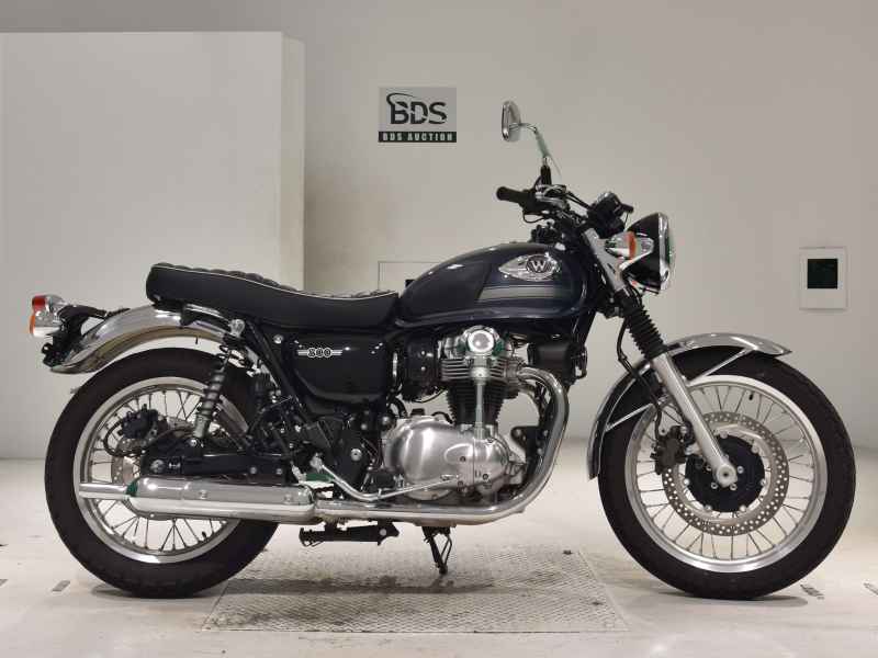 Kawasaki W800 2023