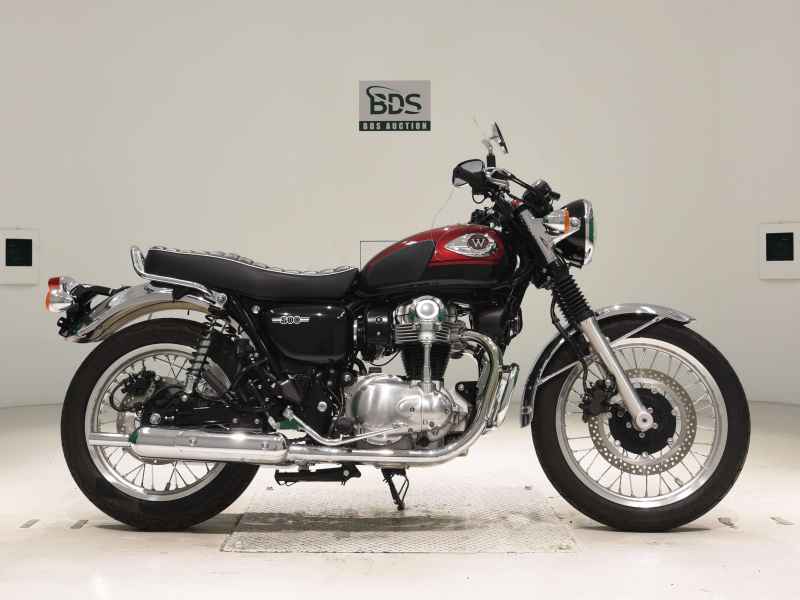 Kawasaki W800 2024