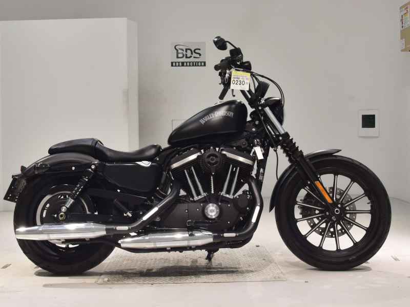 Harley-Davidson XL883N 2015