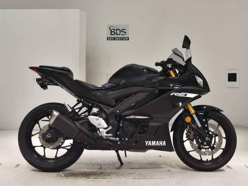 Yamaha YZF-R3 2019