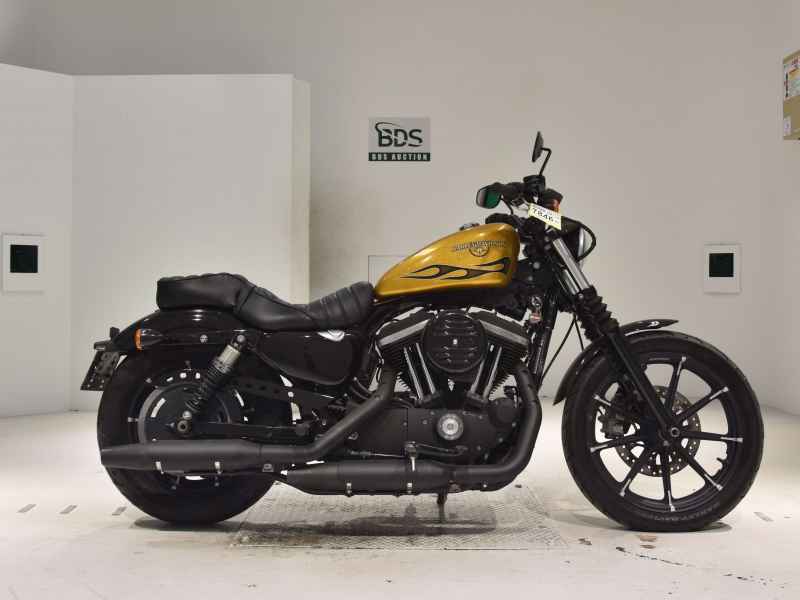 Harley-Davidson XL883N 2015