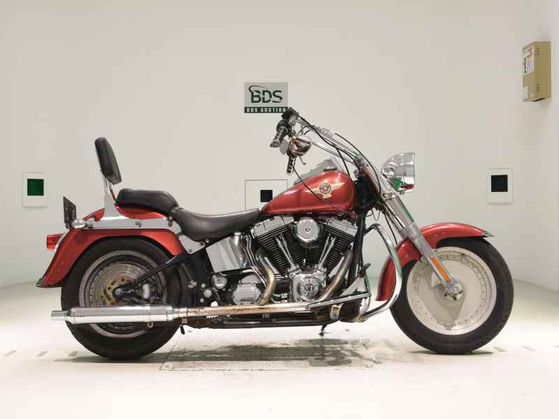 Harley-Davidson FLSTF1450 2005